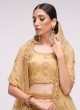 Brown Net Wedding Trendy Lehenga Choli