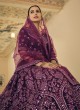 Delectable Mirror Wine Net Lehenga Choli