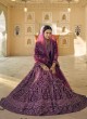 Delectable Mirror Wine Net Lehenga Choli