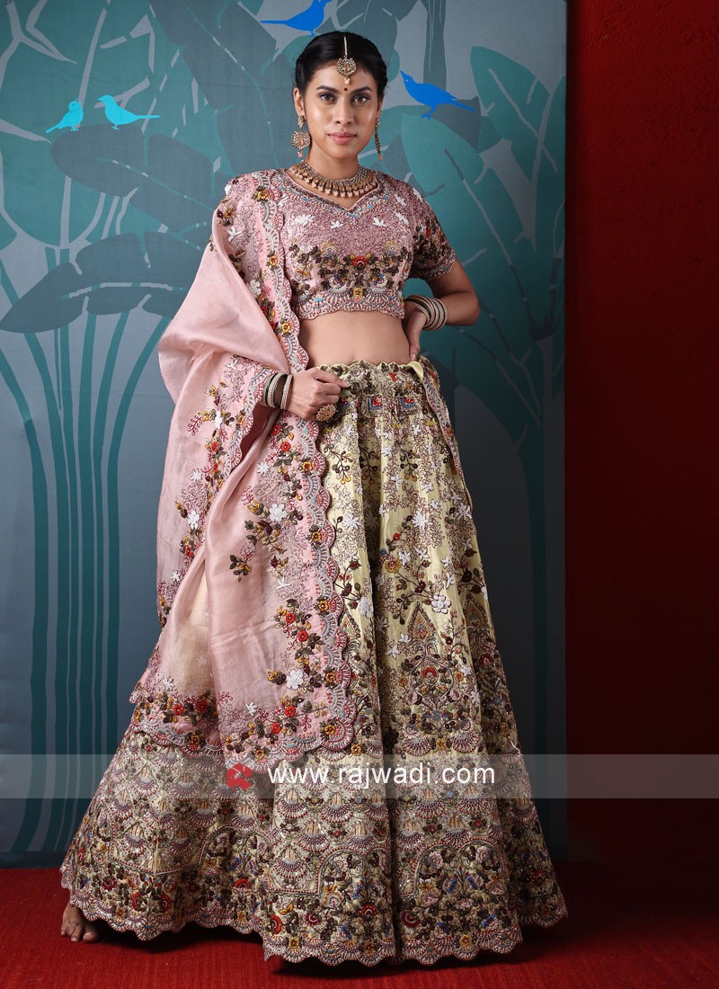 Designer on sale choli suit