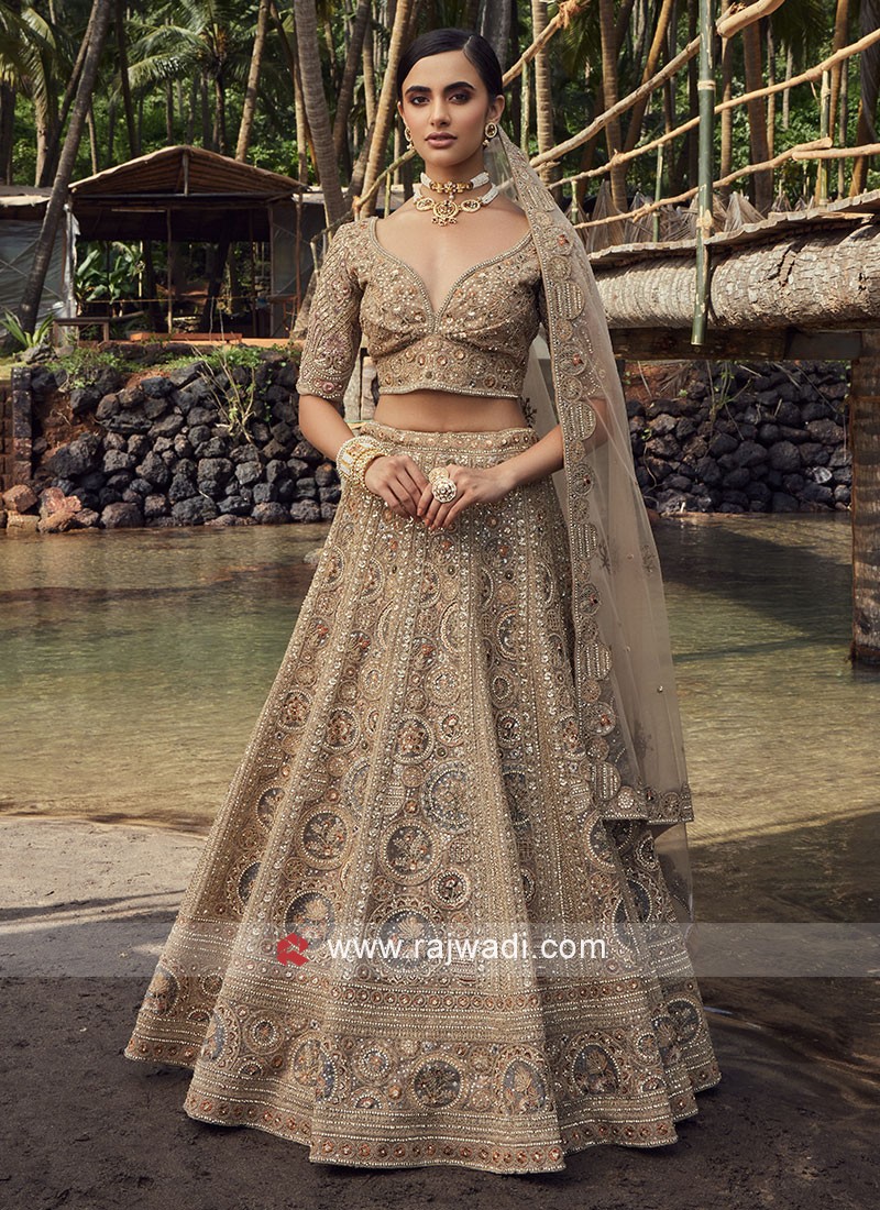 Engagement Wear Soft Net Base Walnut Cream Outstanding Lehenga Choli –  Kaleendi