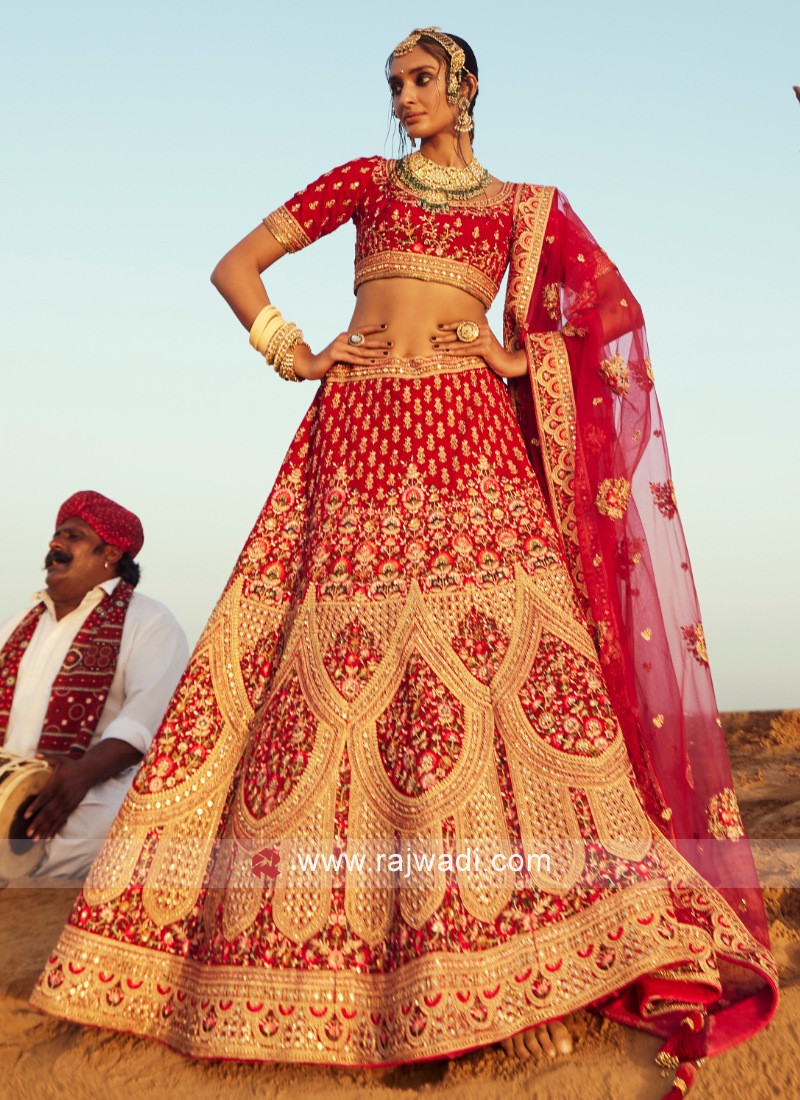 Pakistani Wedding Stylish Indian Red Velvet Lehenga With Velvet Choli -  Dmv11399