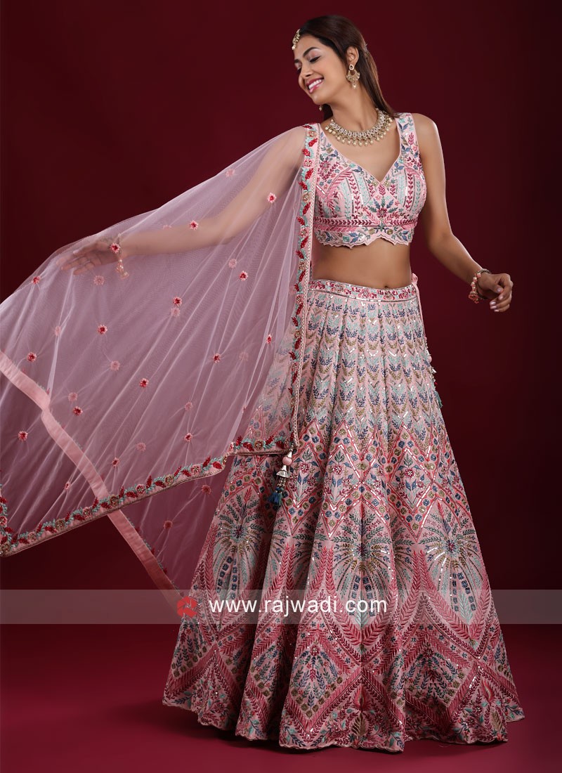 BlushpinkmirrorandReshamworklehenga_3_600x.jpg?v=1648797016