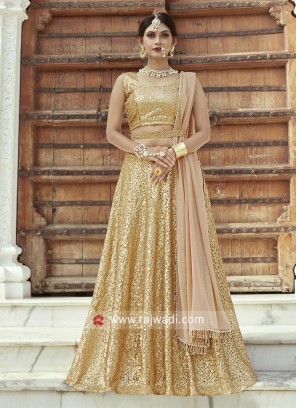 Embroidered Lehenga in Beige