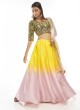 Multi Color Thread A Line Lehenga Choli