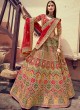 Fancy Fabric Multi Colour Resham Lehenga Choli