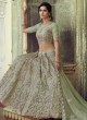 Fascinating Green Net Lehenga Choli