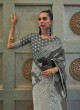 Grey Woven Lucknow Chikankari Cotton Silk Saree