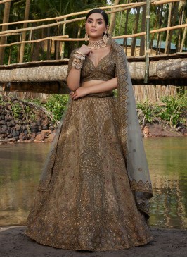 Grey & Green Net Heavy Embroidered Lehenga Choli