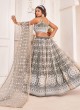 Grey Designer Net Embroidered Lehenga Choli