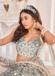 Grey Designer Net Embroidered Lehenga Choli