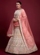 Pink Dori Work Georgette Lehenga Choli