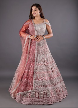 Heavy Embroidered Net Shaded Lehenga Choli