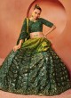 Shaded Green Sequins Embroidered Velvet Lehenga Choli