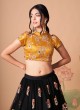 Gorgeous Black Embroidered A Line Lehenga Choli