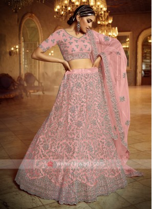 Net Lehenga Choli In Light Pink