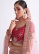 Pink Designer Lehenga Choli