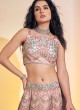 Pink Net  A Line Embroidered Lehenga Choli