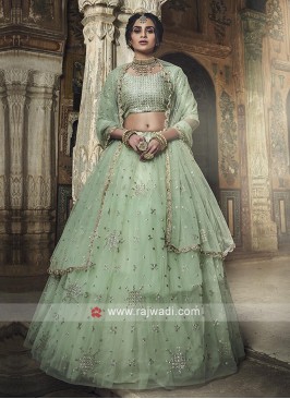 Sea Green Lehenga Choli