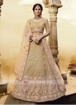 Soft Net Gota Silk Lehenga Choli