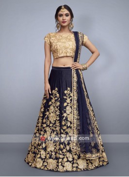 Velvet Silk Embroidered Lehenga