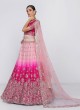 Shaded Pink Heavy Embroidered Net Wedding Lehenga Choli